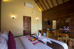 Deluxe villa