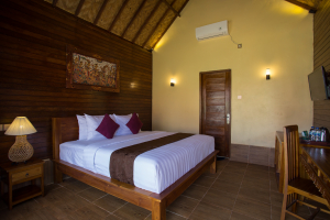 Deluxe villa